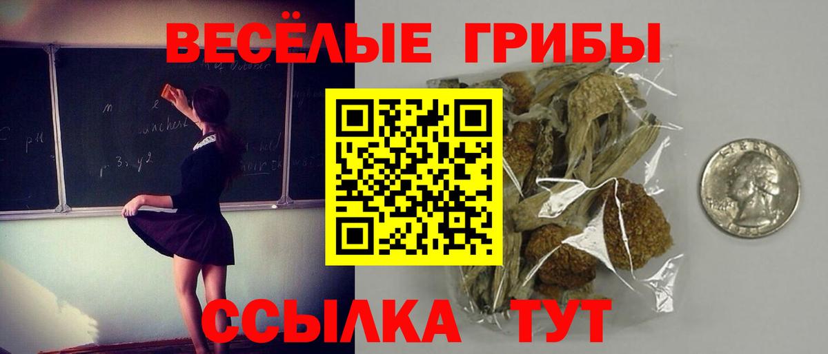 Пугачёв  Галлюциногенные грибы GOLDEN TEACHER  Вход с VPN 